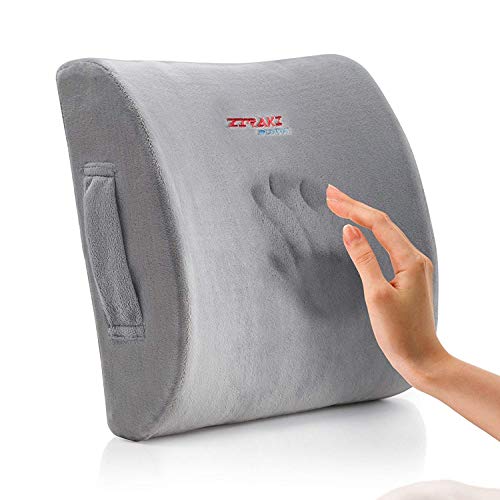 Algopix Similar Product 14 - Lumbar Pillow Back Pain Support  Seat