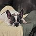 Algopix Similar Product 5 - ThermaPet Slumber Pet Burrow Blanket