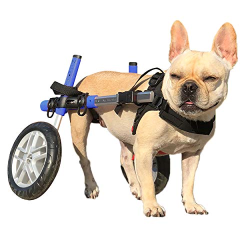 Algopix Similar Product 6 - Walkin Wheels Small Dog Wheelchair