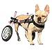 Algopix Similar Product 17 - Walkin Wheels Dog Wheelchair  for