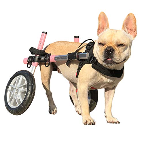 Algopix Similar Product 15 - Walkin Wheels Dog Wheelchair  for