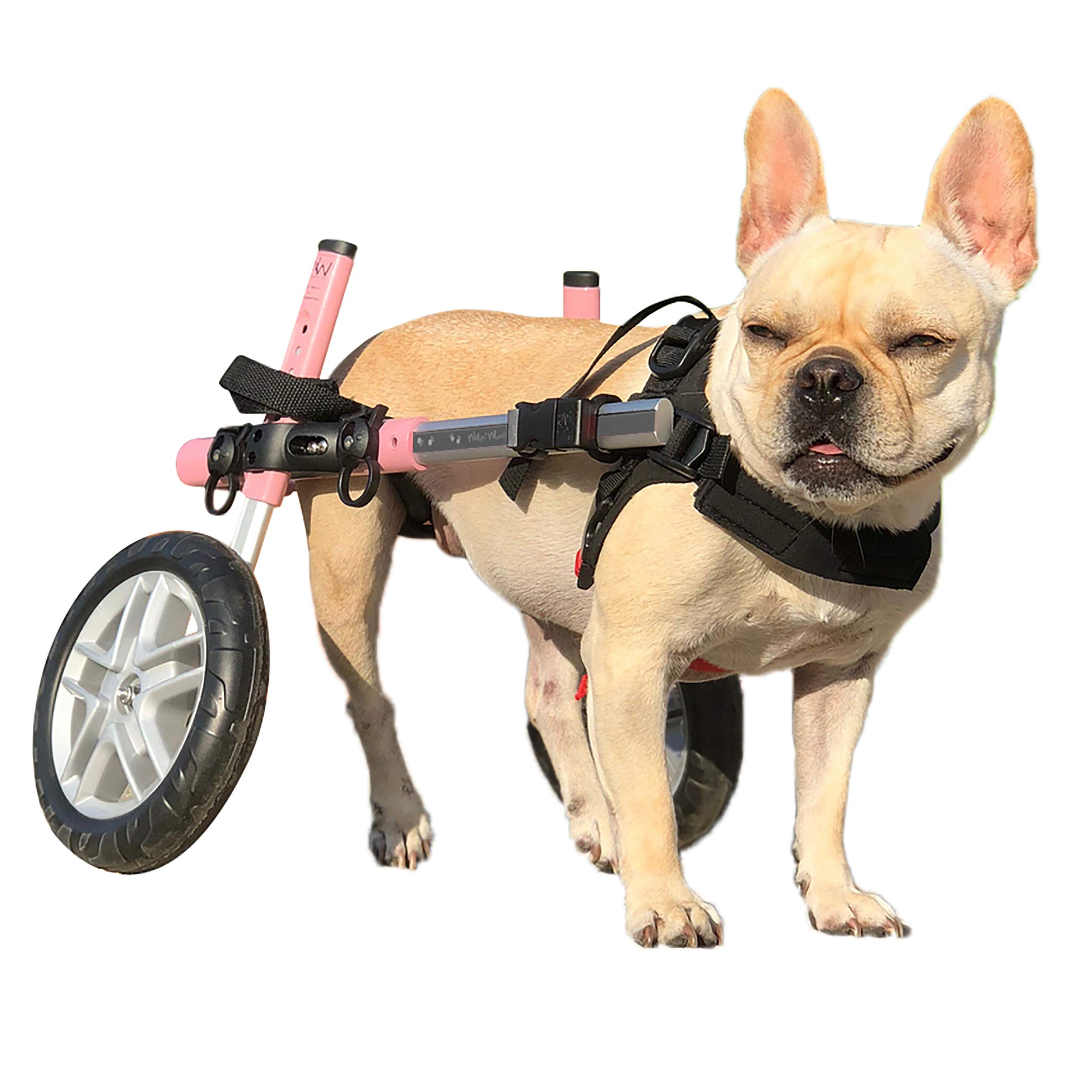 Algopix Similar Product 17 - Walkin Wheels Dog Wheelchair  for