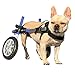 Algopix Similar Product 10 - Walkin Wheels Dog Wheelchair  for