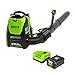 Algopix Similar Product 11 - Greenworks 80V 180 MPH  610 CFM  75