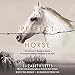 Algopix Similar Product 6 - The Perfect Horse The Daring US