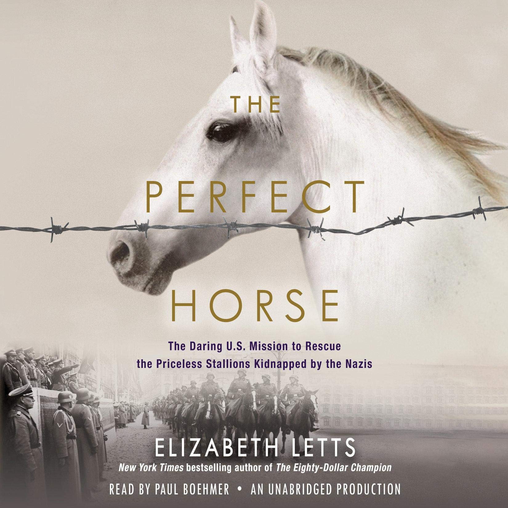 Algopix Similar Product 19 - The Perfect Horse The Daring US
