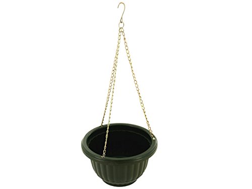 Algopix Similar Product 12 - Kole Imports OL437 Small Hanging Flower