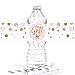 Algopix Similar Product 5 - Andaz Press Blush Pink Gold Glitter