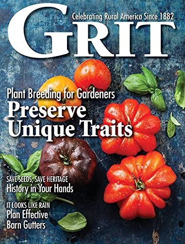 Algopix Similar Product 6 - Grit