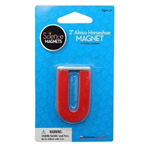 Algopix Similar Product 20 - Dowling Magnets DO731015 Magnets