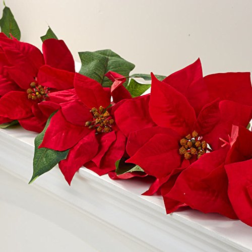 Algopix Similar Product 6 - Christmas Red Velveteen Poinsettia