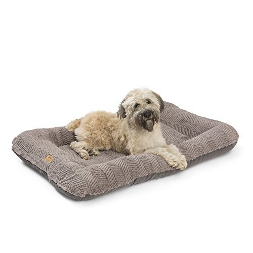 Algopix Similar Product 6 - WEST PAW design Heyday Dog Bed with
