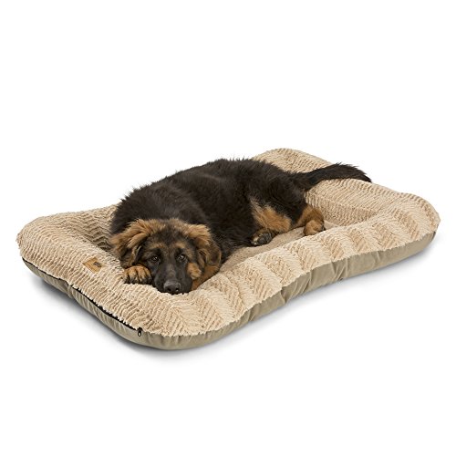 Algopix Similar Product 12 - WEST PAW Design Heyday Dog Bed with