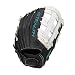 Algopix Similar Product 10 - Easton Stealth Pro Fastpitch Series