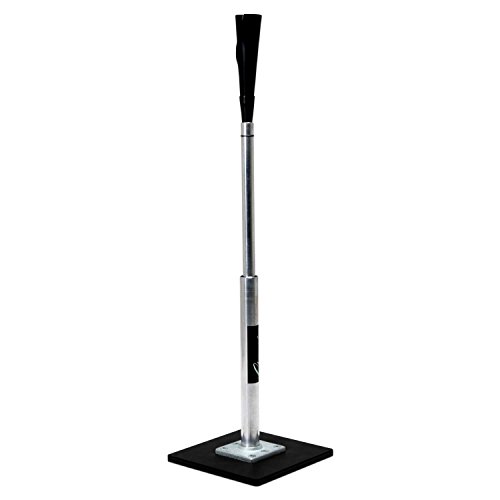 Algopix Similar Product 18 - Champion Sports Steel and Aluminum Stem