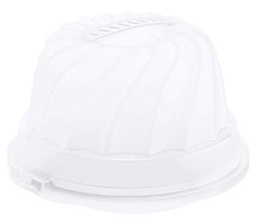Algopix Similar Product 20 - Rotho Fresh Kitchen Cake Container Horn