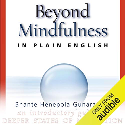 Algopix Similar Product 8 - Beyond Mindfulness in Plain English An