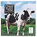 Algopix Similar Product 8 - Esschert Design TP182 Cow Napkins