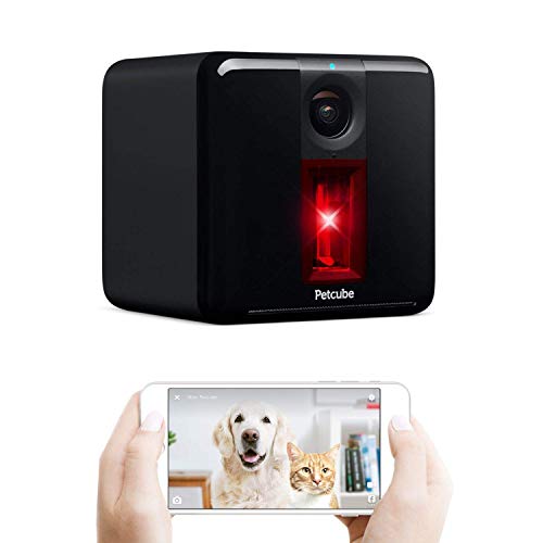Algopix Similar Product 15 - Petcube 2017 Item Play Smart Pet