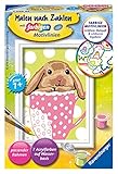Algopix Similar Product 6 - Ravensburger 296903 Sweet LopEar