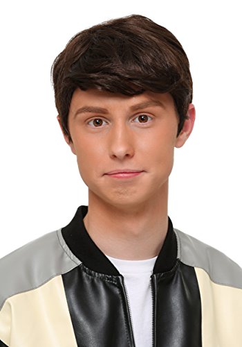 Algopix Similar Product 3 - Ferris Bueller Wig Standard