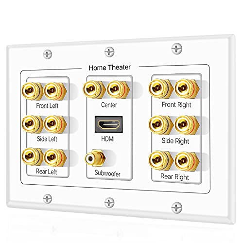 Algopix Similar Product 14 - TNP Home Theater Speaker Wall Plate