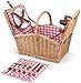 Algopix Similar Product 6 - Picnic Time Piccadilly DualLid Picnic