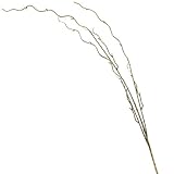 Algopix Similar Product 18 - Factory Direct Craft Group of 4 Gold
