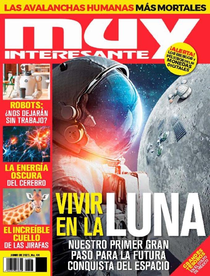 Algopix Similar Product 5 - Muy Interesante - Mexico