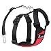 Algopix Similar Product 8 - Pawaboo Dog Safety Vest Harness Pet