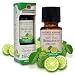 Algopix Similar Product 6 - Natures Answer Essential Oil Organic