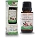 Algopix Similar Product 19 - Natures Answer USDA Organic