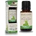 Algopix Similar Product 7 - Natures Answer USDA Organic Patchouli