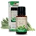 Algopix Similar Product 7 - Natures Answer USDA Organic Sage