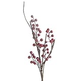 Algopix Similar Product 10 - Factory Direct Craft Group of 6