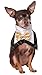 Algopix Similar Product 11 - Rubie's Tuxedo Bandana, Large/X-Large