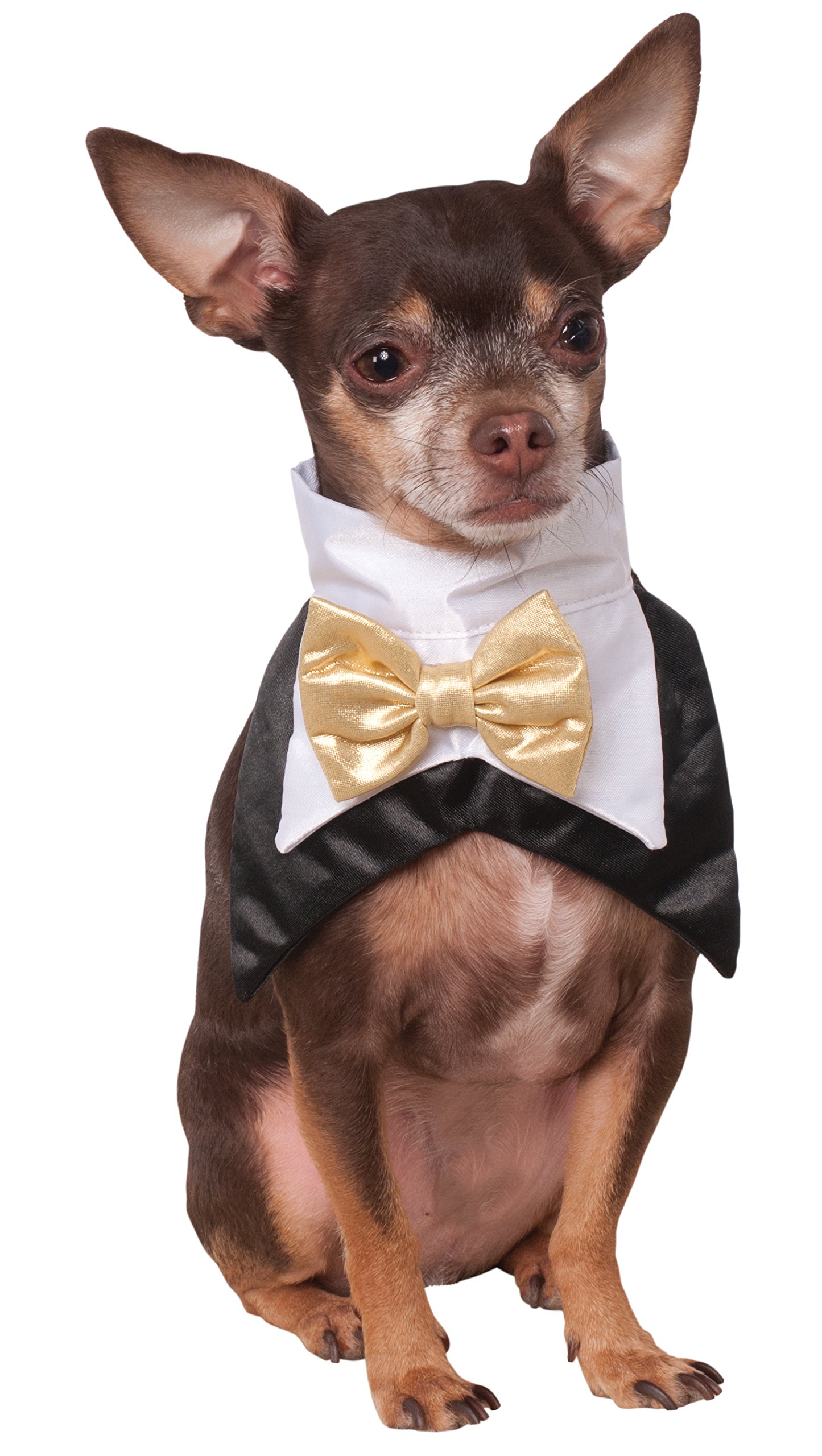 Algopix Similar Product 14 - Rubie's Tuxedo Bandana, Large/X-Large