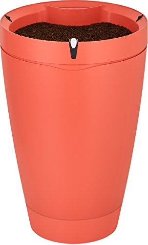 Algopix Similar Product 7 - Parrot Pot  Smart Connected Flower
