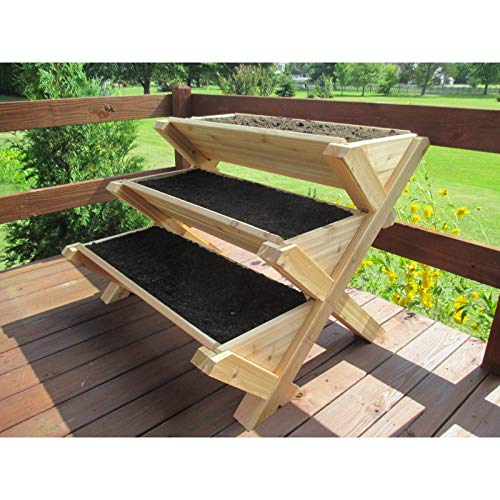 Algopix Similar Product 18 - Infinite Cedar Premium Quality