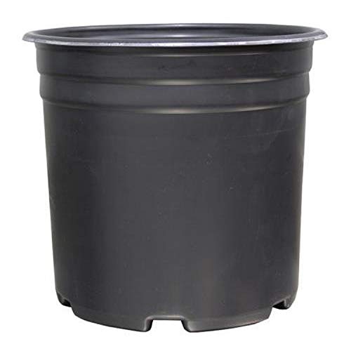 Algopix Similar Product 3 - Gro Pro Thermoformed Nursery Pot 5