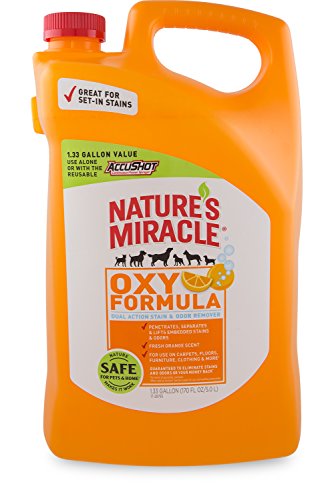 Algopix Similar Product 18 - Natures Miracle Oxy Pet Stain  Odor