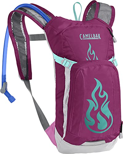 Algopix Similar Product 17 - CamelBak Mini MULE Kids Hydration