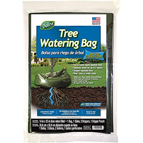 Algopix Similar Product 10 - Dalen TRWTW Water Can, Green