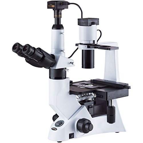 Algopix Similar Product 12 - AmScope 401000X Inverted
