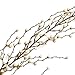 Algopix Similar Product 15 - Factory Direct Craft 6 feet of Flexible