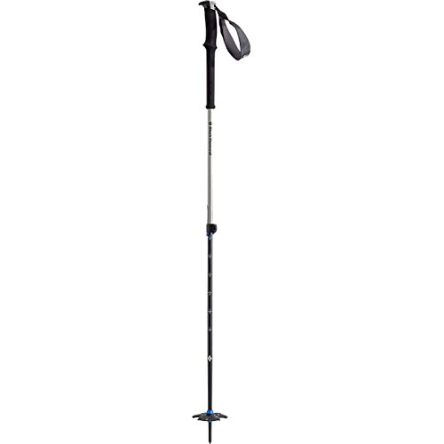 Algopix Similar Product 15 - Black Diamond Expedition 2 Ski Poles