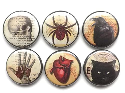 Algopix Similar Product 6 - Halloween Refrigerator 6 Magnets Skull