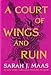 Algopix Similar Product 10 - A Court of Wings and Ruin A Court of
