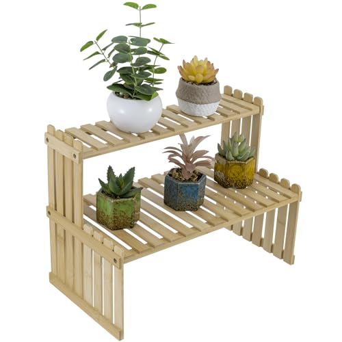 Algopix Similar Product 4 - MyGift Natural Bamboo Indoor Plant