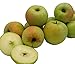 Algopix Similar Product 13 - Kauffman Orchards Homegrown Crispin